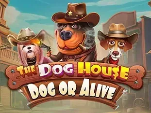 The Dog House - Dog Or Alive game thumbnail